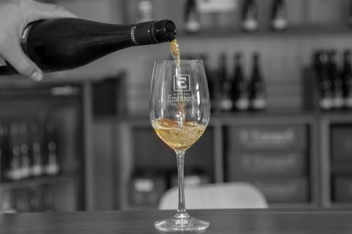 Iekārtas, Ferienwohnung am Weingut Eisenbock in Straß Im Straßertale