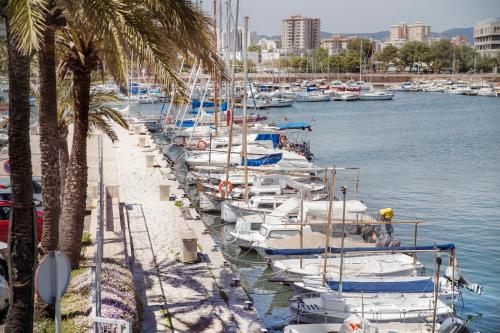 Portixol Hotel & Restaurant - image 14