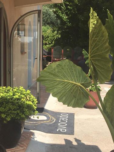 Avocado Hôtel Restaurant - 출입구