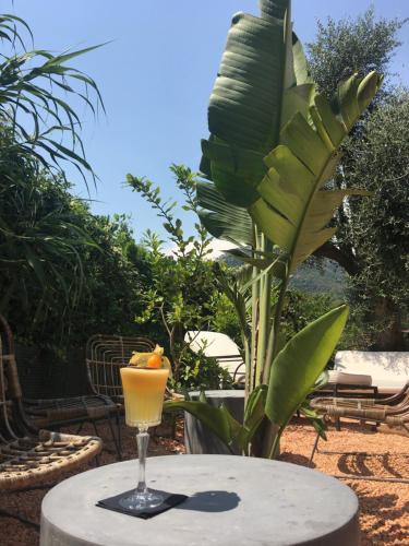 Avocado Hôtel Restaurant - 정원