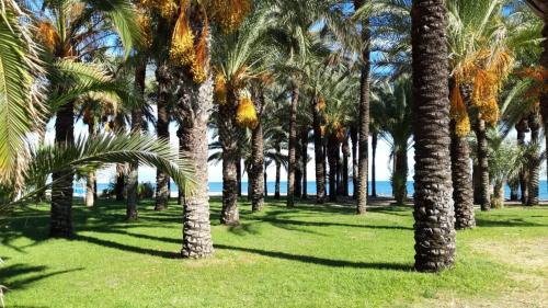  Las Plumas Beach in Torremolinos