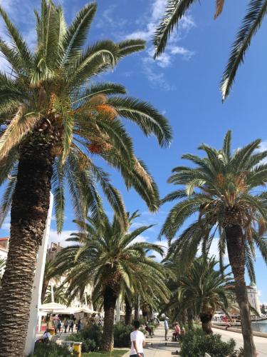 Villa Urbi et Orbi, Split (zdjęcie 7)