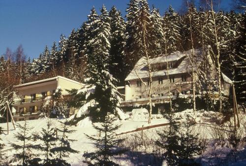 Waldpension Pfeiferhaus