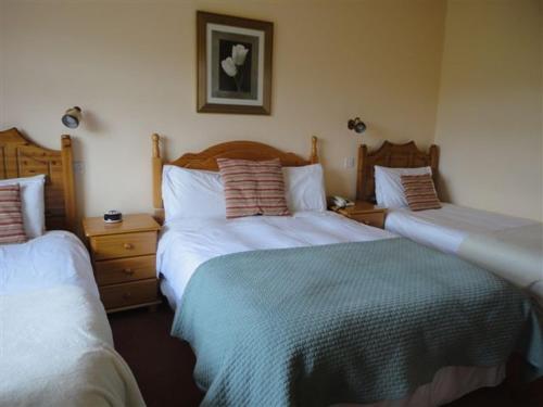 Alpine Guesthouse 5