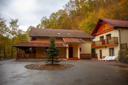 Pensiunea Valea Gepisului - main image