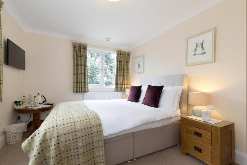 Whitethorn Bed and Breakfast - image 13