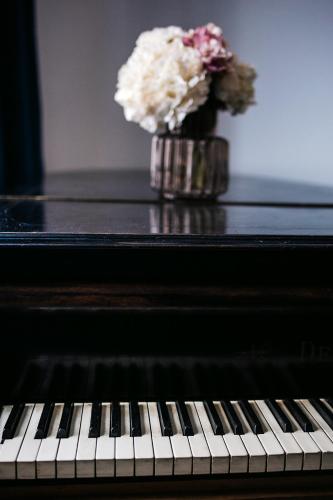 Pierrot & Pierrette - image 11