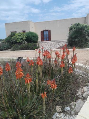 Villetta Elianna gîte à louer Levanzo