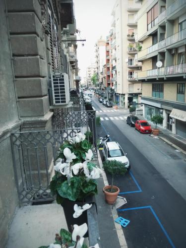 Maison Flores