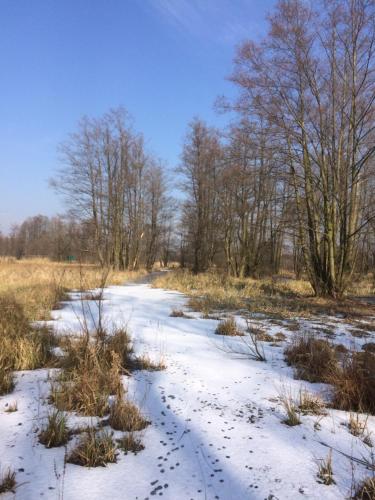 Storchenblick in Schlepzig, Deutschland
