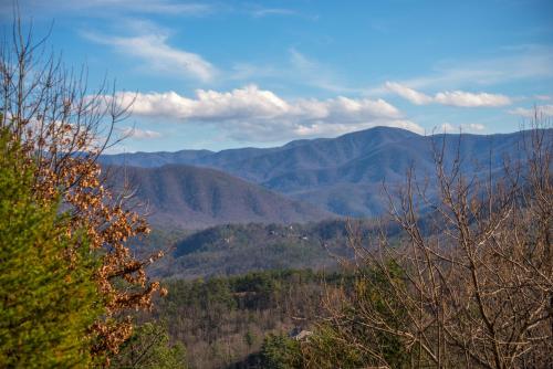 Above the Smokies in Glade, USA