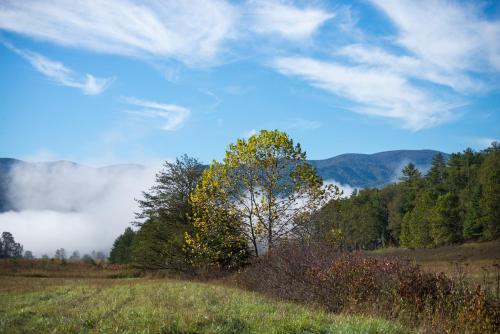 Above the Smokies in Glade, USA