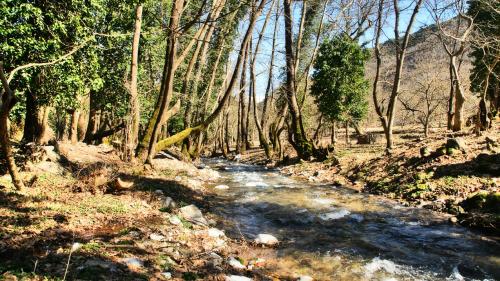 Chalet Coquelicot (Co-cli-co) relax in nature