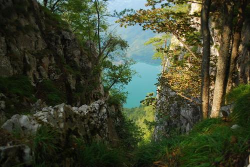 Tarski dom - image 13