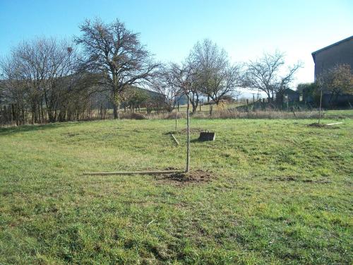 Vue des Vosges gîte à louer Martigny-les-Bains