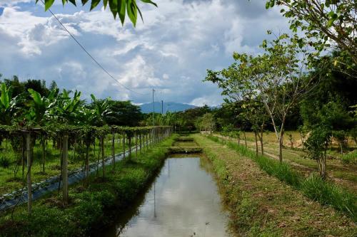 Rai Boonsom Rai Boonsom