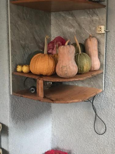 B&B NaBaDa – Kutaisi, IN