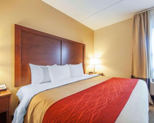 King Suite with Sofa Bed - Non-Smoking