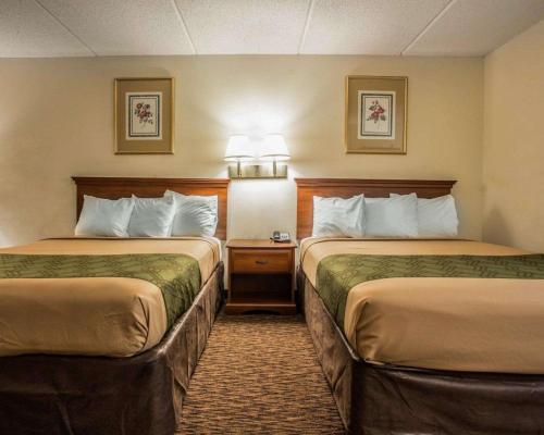 Econo Lodge Inn & Suites Lugoff