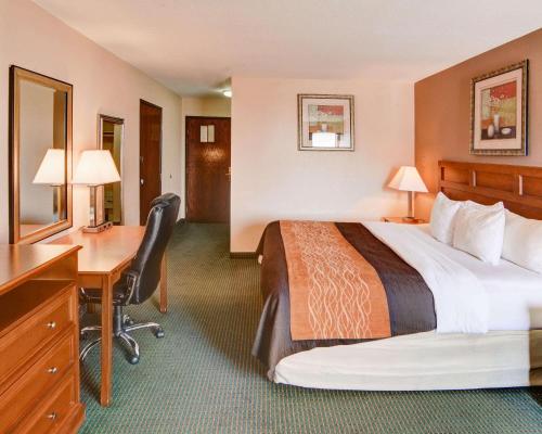 Quality Inn - image 6