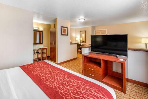 Comfort Inn Central Weed - image 14