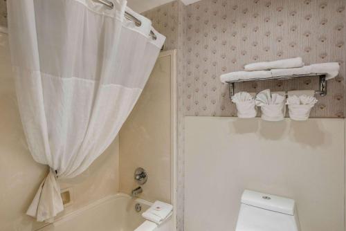 Comfort Inn Central Weed - main image
