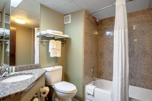 Quality Inn Holly Springs South