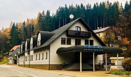 Hotel Albis