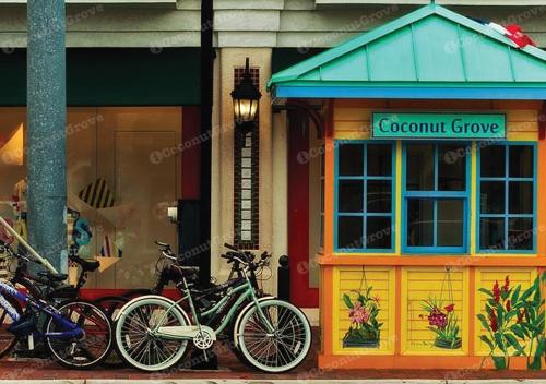 iCoconutGrove - Luxurious Vacation Rentals in Coconut Grove - image 2