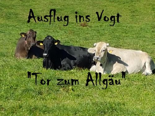 Adam & Eva Gasthof Paradies - image 7