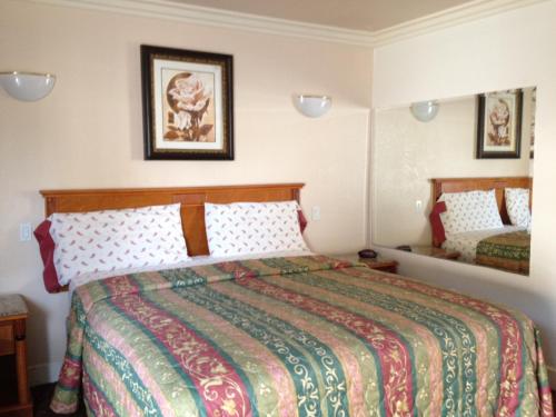 Single Room - Disability Access