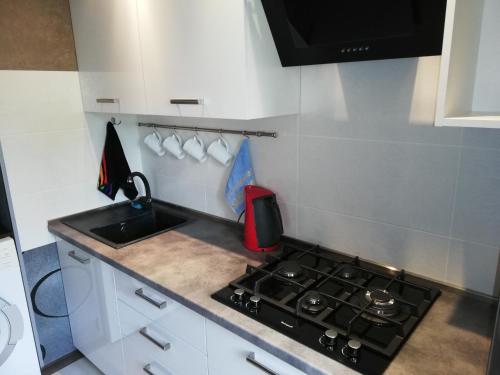 Dizainerskie apartamenty klassa Deliuks.
