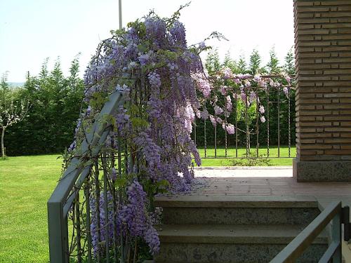 Bed and breakfast Ellera Viterbo - image 3