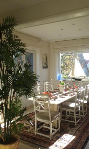  Villa Sunshine in Knokke-Heist