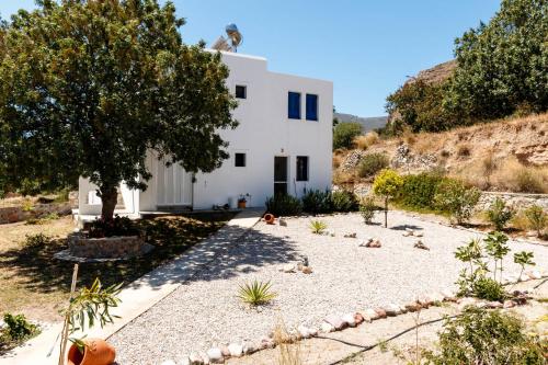  Eden Villa Tilos in Megálon Choríon