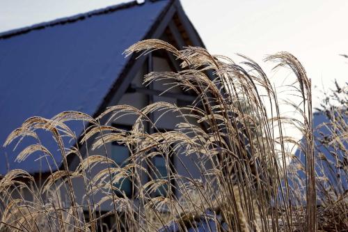 Kapitänsweg 07 - image 8