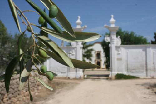 Masseria Maccarone