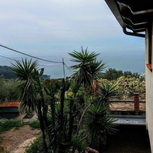 B&B Le Anthos – Marina di Camerota, UT