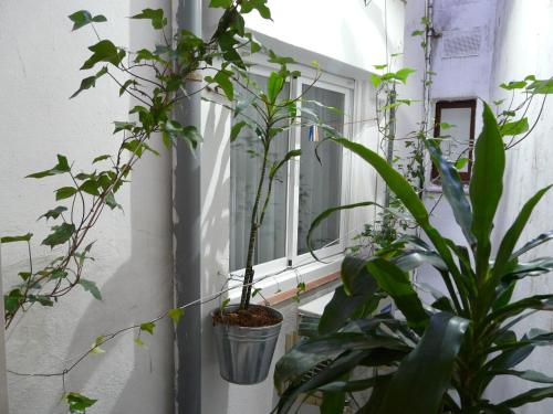 Hotel Alexandra - image 7