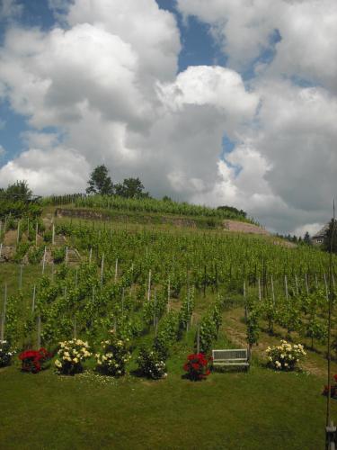 Weingut Mariaberg