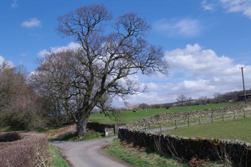A környék, Ullathorns Farm in Middleton (Cumbria)