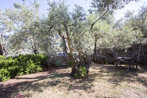 Villa Es Coco, Soller Villa Es Coco, Soller