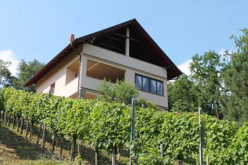  Kuća za odmor Posavec in Stubicke Toplice