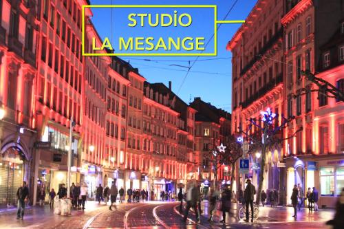 Studio La Mésange - Location saisonnière - Strasbourg