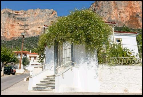  Traditional house in Leonidi