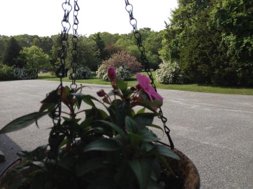 Westhampton Seabreeze Motel Westport (CT)