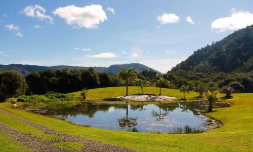 Kilátás, Heartland Eco Retreat in Northland
