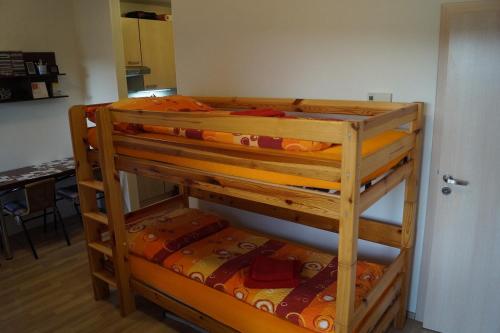 Apartments Klinovec - image 12