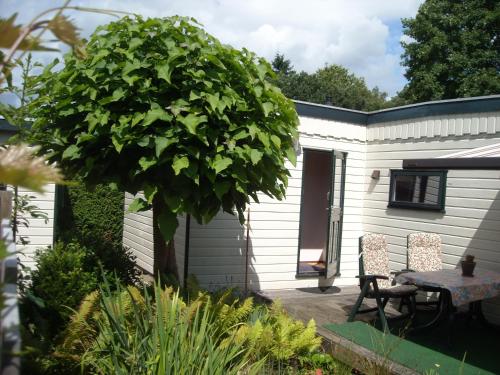 Exterior view of Zonnig zomerhuis