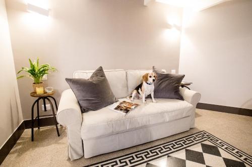 BB Casamatta Room Type - Luxury Quadruple Room